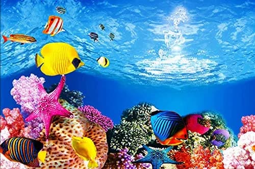 ELEBOX Fish Tank Background Paper 20" x 48" | Vibrant HD Aquarium Decor (70-120 chars) thumbnail 2