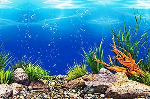 ELEBOX Fish Tank Background Paper 20" x 48" | Vibrant HD Aquarium Decor (70-120 chars) thumbnail 3
