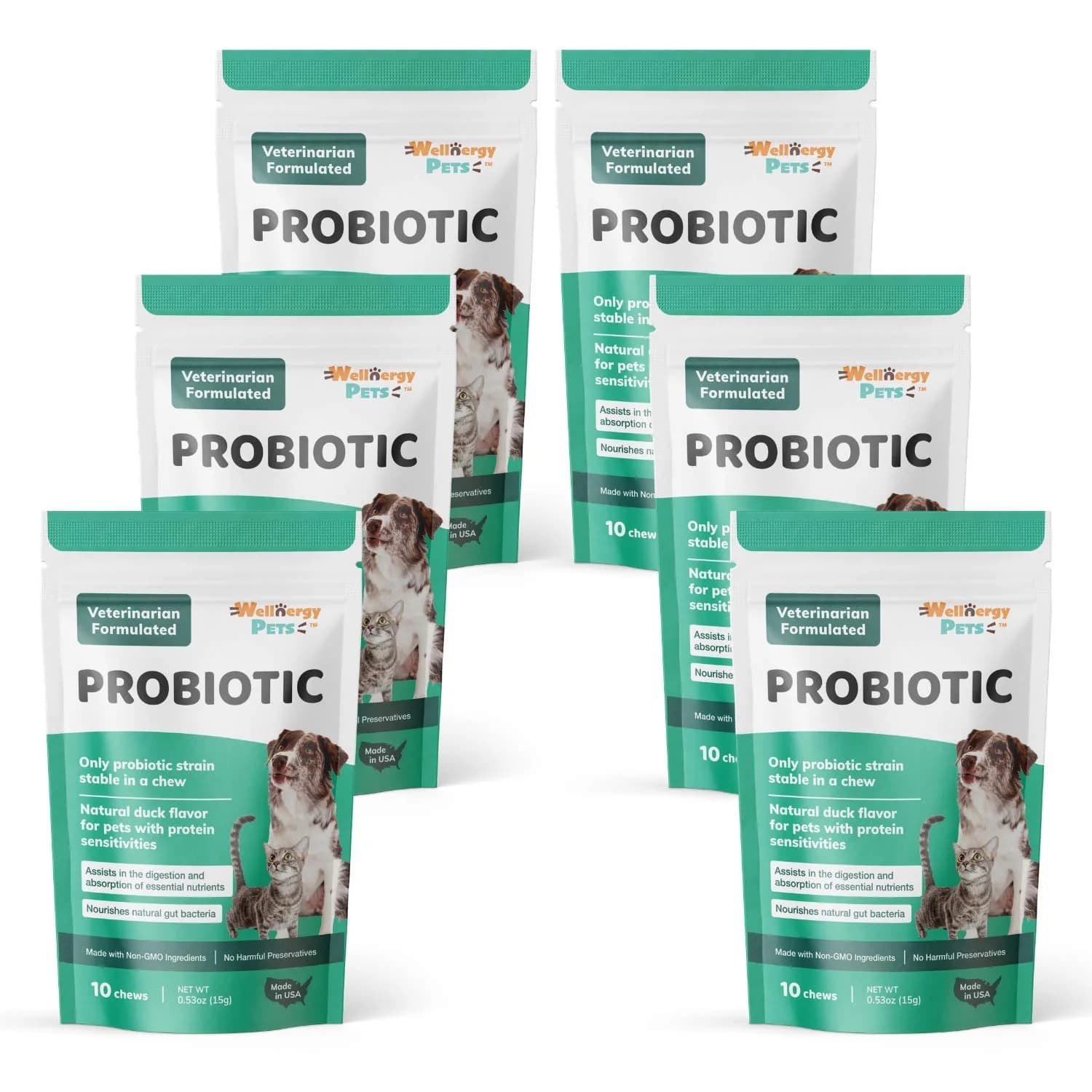 Wellnergy Daily Probiotic & Prebiotics Soft Chew for Dogs & Cats | Digestive & Immune Support (70-120c) — Wellnergy