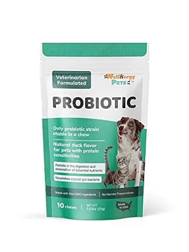 Wellnergy Daily Probiotic & Prebiotics Soft Chew for Dogs & Cats | Digestive & Immune Support (70-120c) thumbnail 2