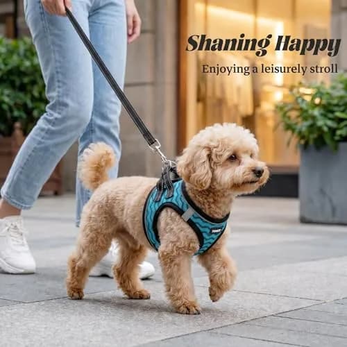 YIMEIS No Pull Dog Puppy Harness and Leash Set Reflective Mesh Vest Small | Breathable, Safety & Control thumbnail 6