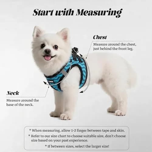 YIMEIS No Pull Dog Puppy Harness and Leash Set Reflective Mesh Vest Small | Breathable, Safety & Control thumbnail 2