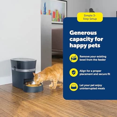 PetSafe Stainless Steel Dog and Cat Bowl, Grey, 5 Cup | Durable, Hygienic & Dishwasher Safe thumbnail 5