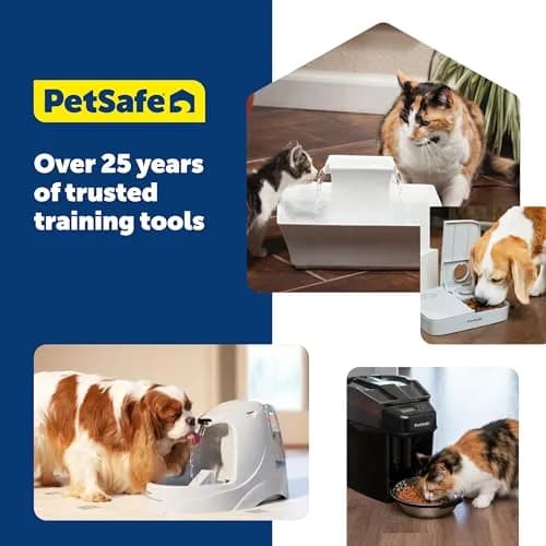 PetSafe Stainless Steel Dog and Cat Bowl, Grey, 5 Cup | Durable, Hygienic & Dishwasher Safe thumbnail 8