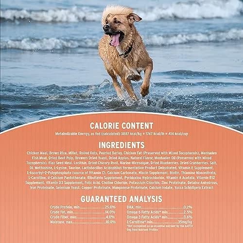 Annamaet Original Medium and Large Breed Formula Dry Dog Food 5 lb. Bag | 25% Protein with Chicken & Brown Rice thumbnail 4