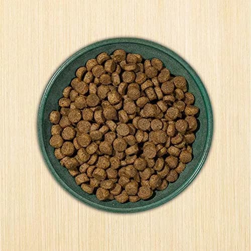 Annamaet Original Medium and Large Breed Formula Dry Dog Food 5 lb. Bag | 25% Protein with Chicken & Brown Rice thumbnail 7