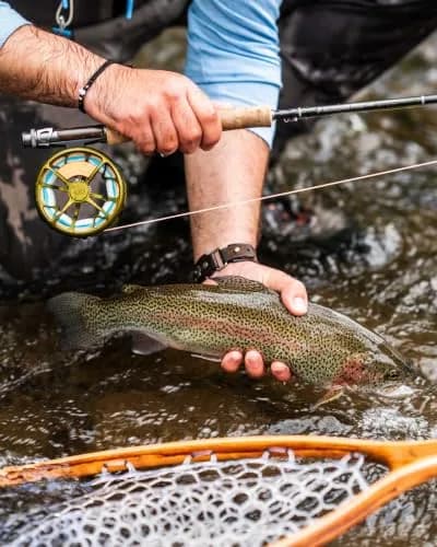 Ross Reels Colorado Fly Fishing Reel - 2/3, Matte Black | Lightweight Machined Aluminum thumbnail 7
