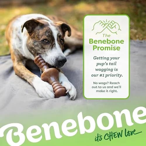 Benebone Zaggler Rolling Dog Chew Toy for Aggressive Chewers, Real Peanut, 6.6 oz (187 g) | Durable Interactive Toy thumbnail 6