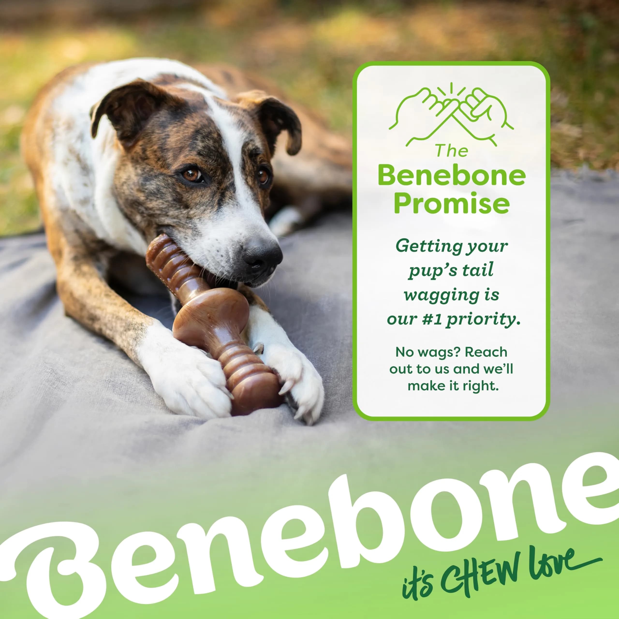 Benebone Zaggler Rolling Dog Chew Toy for Aggressive Chewers, Real Peanut, 6.6 oz (187 g) | Durable Interactive Toy - view 6
