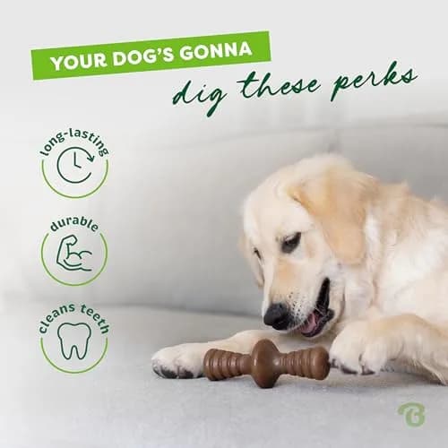 Benebone Zaggler Rolling Dog Chew Toy for Aggressive Chewers, Real Peanut, 6.6 oz (187 g) | Durable Interactive Toy thumbnail 3