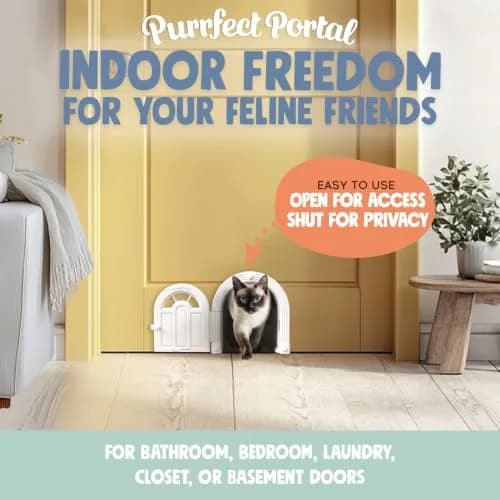 Purrfect Portal Meow Manor Cat Door Interior Door - Pure White, 8.25" (20.95 cm) High | No-Flap Design for Cats Up to 20 lbs (9.07 kg) thumbnail 2