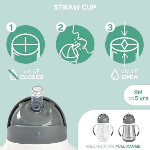 Béaba Stainless Steel Straw Sippy Cup, Insulated Toddler Cup 250ml (8.5 Fl Oz) | Spill-Proof for 8+ Months thumbnail 5