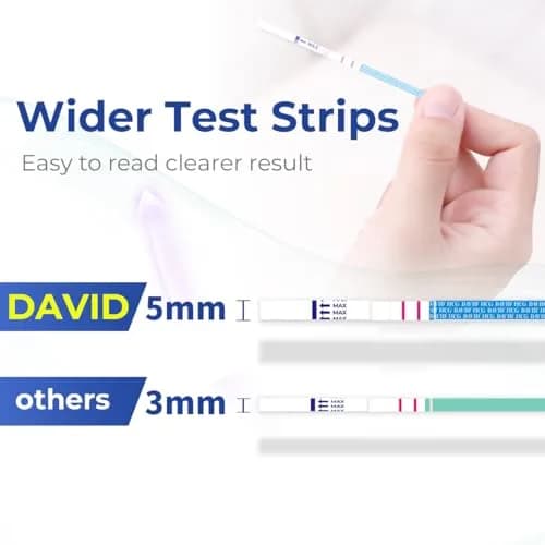DAVID Pregnancy Test Strips, HCG Urine Test Kit, 10 Count | Early Detection & Accurate Results thumbnail 3