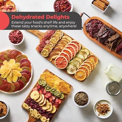 Magic Mill Food Dehydrator Machine | 5 Stackable Stainless Steel Trays, 48H Digital Timer & Temperature Control Up to 167°F thumbnail 5