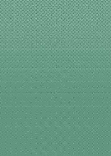 Teacher Created Resources Eucalyptus Green Better Than Paper Bulletin Board Roll | Quick, Durable & Reusable (70-120 chars) thumbnail 2