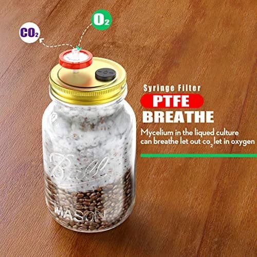 Biomed Solutions Regular Mouth Mushroom Liquid Culture Lids 70mm (6-Pack) | Autoclavable & Reusable for Mycology thumbnail 5