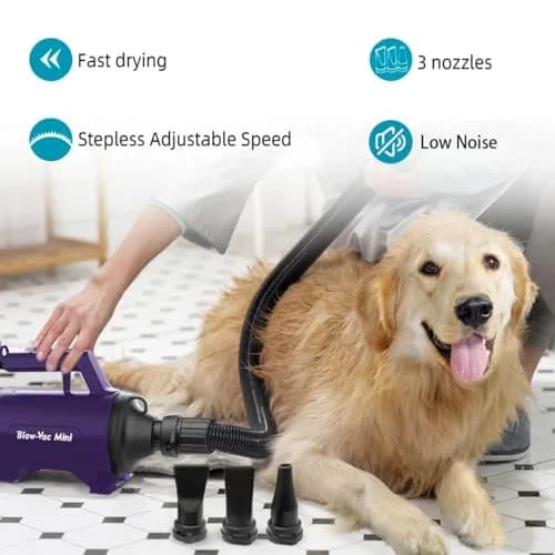 Shernbao High Velocity Dog Dryer Purple SMD-06P | 2200W 110V 2-Speed 2-Temp Pet Grooming Blower thumbnail 3