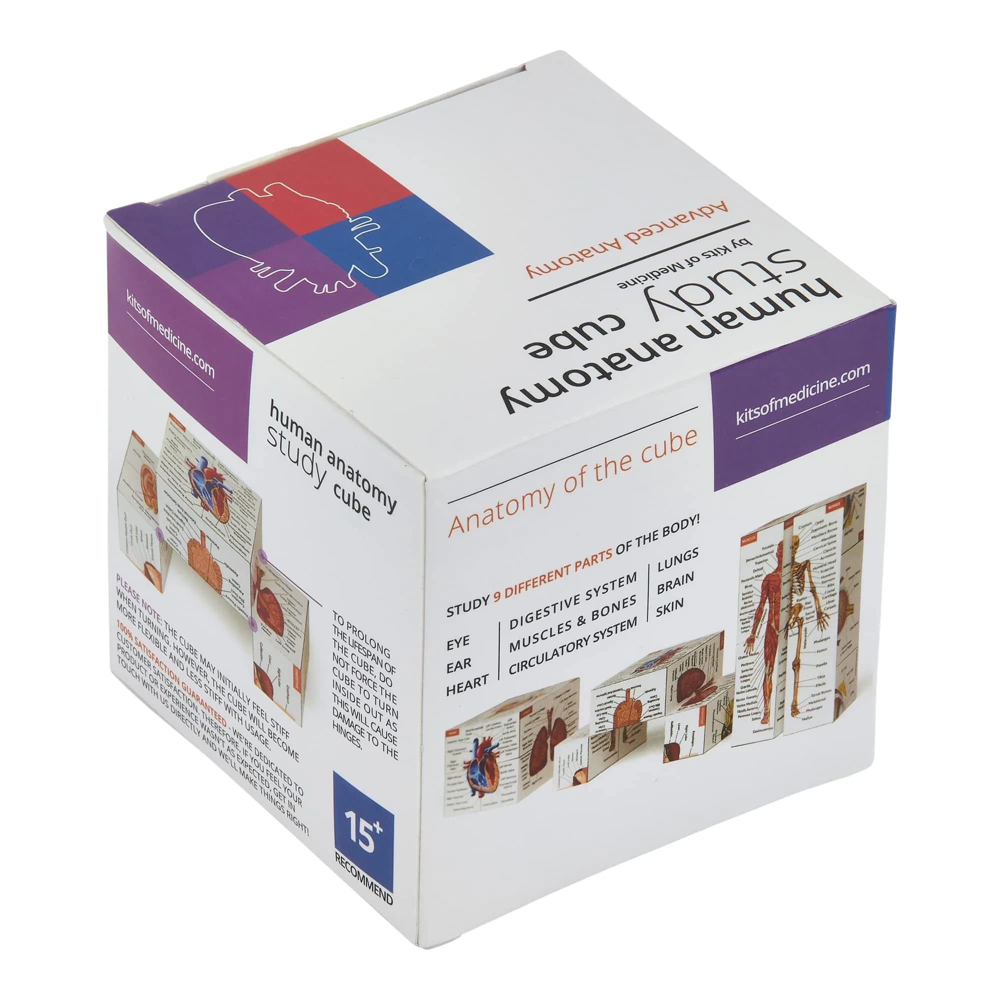 Kits of Medicine Human Anatomy Study Cube | 7cm Cube with 9 Body Parts | Revision Guide for Medical Students - view 7