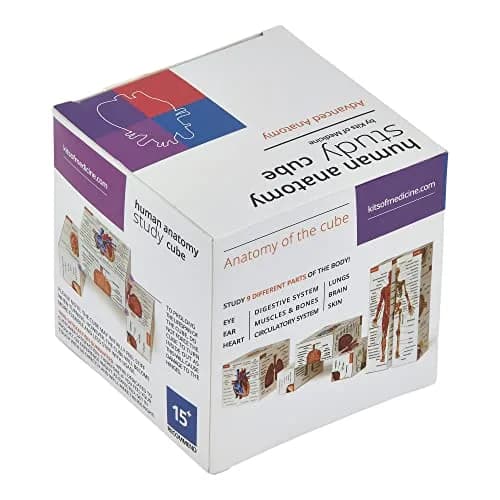 Kits of Medicine Human Anatomy Study Cube | 7cm Cube with 9 Body Parts | Revision Guide for Medical Students thumbnail 7