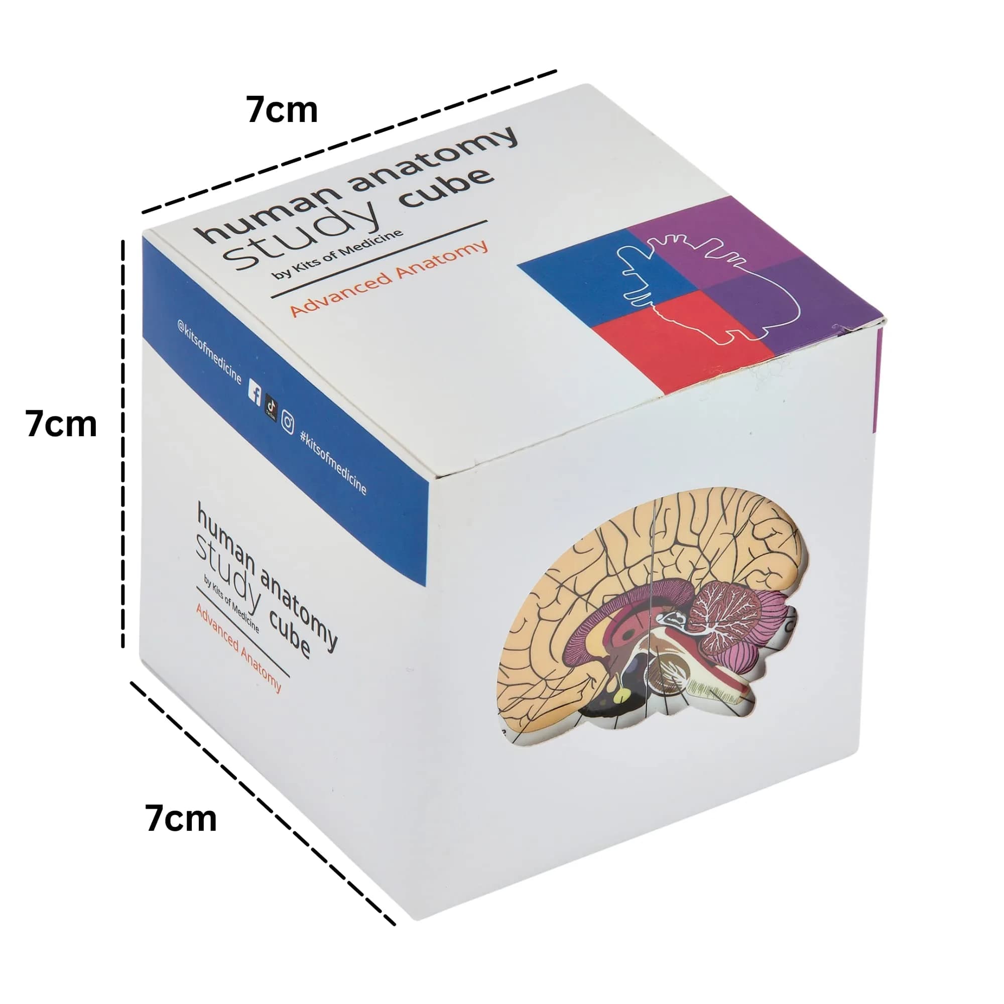 Kits of Medicine Human Anatomy Study Cube | 7cm Cube with 9 Body Parts | Revision Guide for Medical Students - view 2