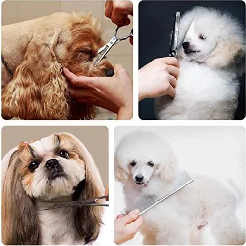 Maxshop Dog Grooming Scissors Set of 3 | Professional Pet Trimmer Kit with Safety Round Tips thumbnail 7
