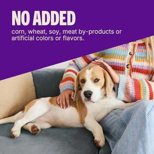 Wellness Soft Puppy Bites Dog Training Treats Lamb & Salmon Recipe 227 g (8 oz) | Grain-Free DHA for Brain Development thumbnail 6