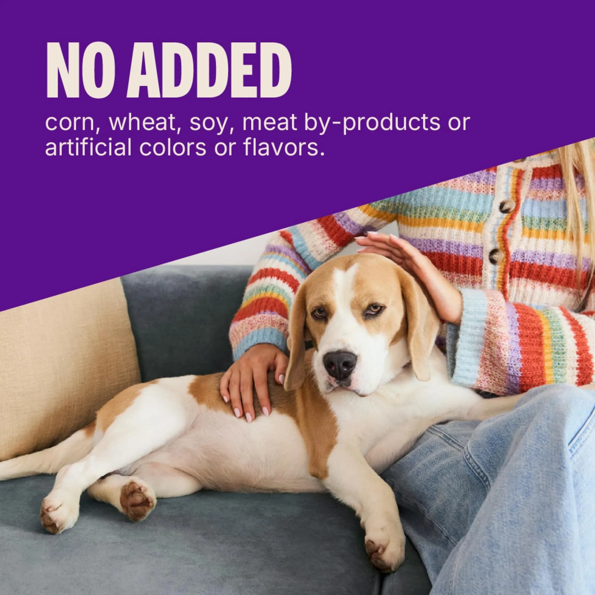 Wellness Soft Puppy Bites Dog Training Treats Lamb & Salmon Recipe 227 g (8 oz) | Grain-Free DHA for Brain Development - view 6