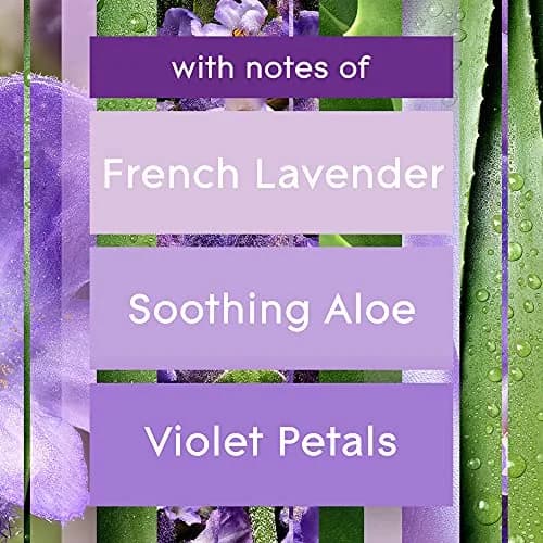 Glade Automatic Spray Air Freshener Refill, Tranquil Lavender & Aloe, 6.2 Fl Oz (184ml) Each (3 Count) | Timed Fragrance Release for Home & Office thumbnail 3