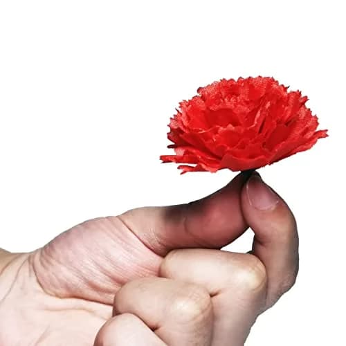 Gusaloo Red Marigold Flower Heads Bulk 50Pcs, Silk Artificial Flowers 5-6cm | Realistic Style for Diwali Home Decor thumbnail 6