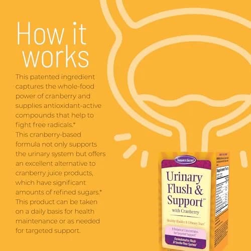 Nature's Secret Urinary Flush & Support Capsules 60 Count | Cranberry & Botanical Blend for Urinary Wellness thumbnail 3
