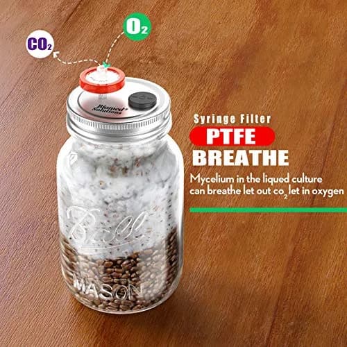 Biomed Solutions 6Pcs Regular Mouth Mushroom Liquid Culture Lids with Filter & Injection Ports (70mm) | Lab-Quality for Mycology thumbnail 6