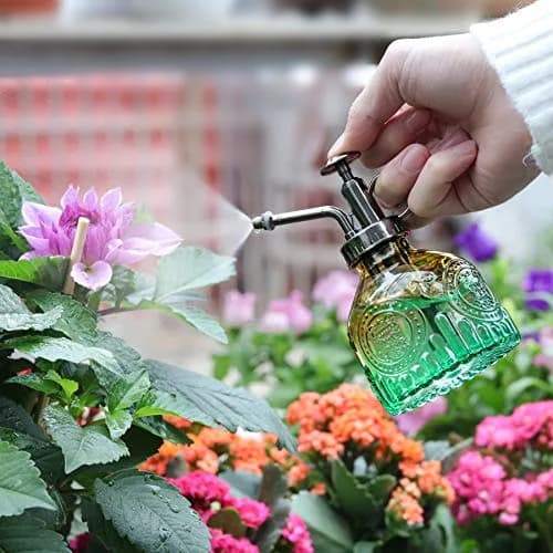 T4U Glass Plant Mister 200ML | Vintage Spray Bottle for Indoor & Outdoor Plants thumbnail 4