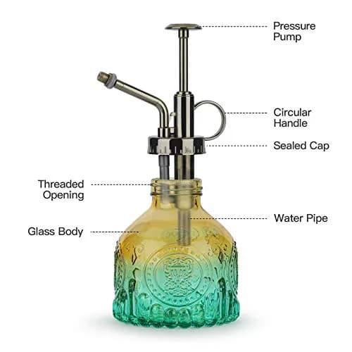 T4U Glass Plant Mister 200ML | Vintage Spray Bottle for Indoor & Outdoor Plants thumbnail 7