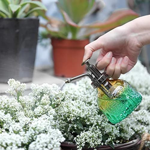T4U Glass Plant Mister 200ML | Vintage Spray Bottle for Indoor & Outdoor Plants thumbnail 8