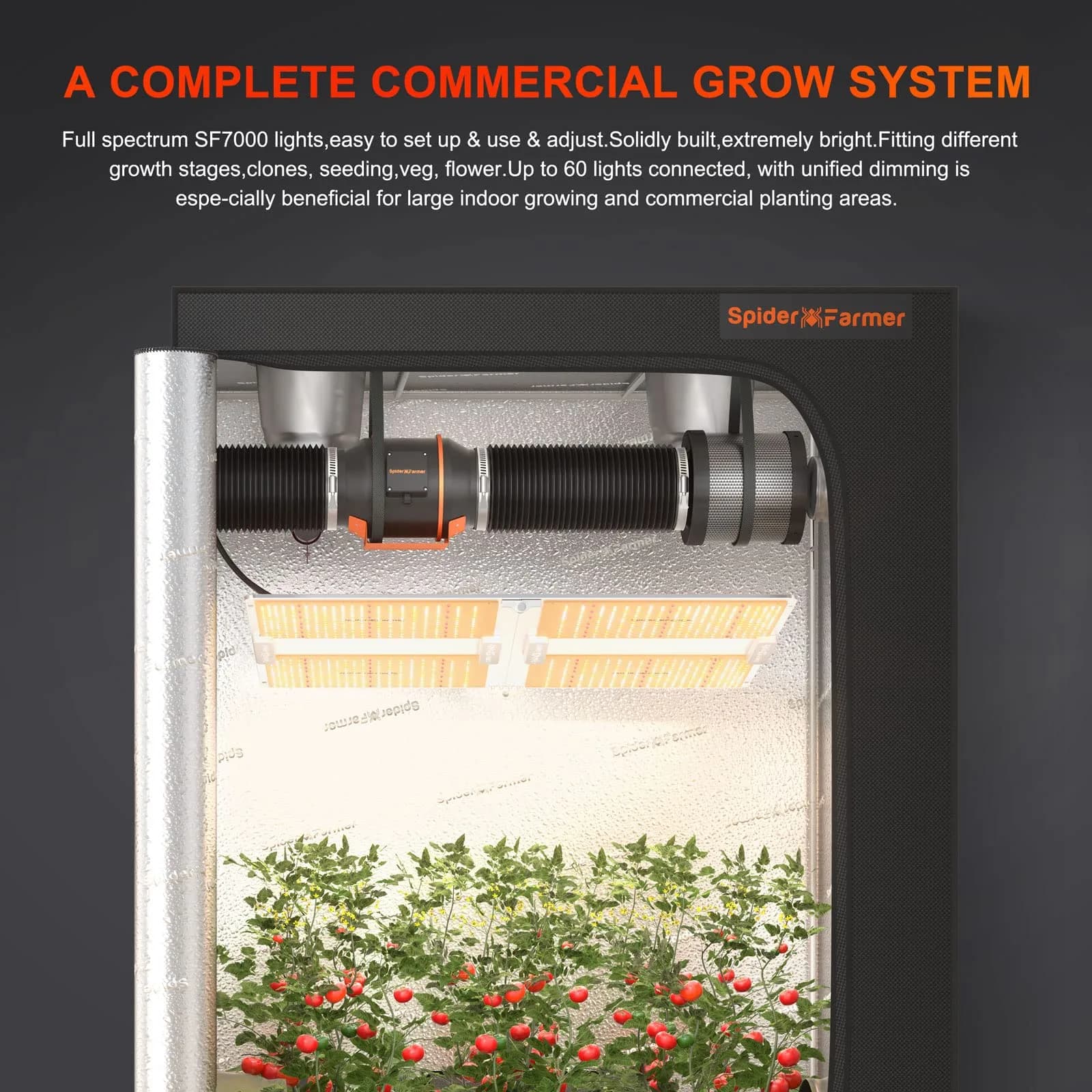 Spider Farmer SF7000 LED Grow Light 650W Full Spectrum 156 cm x 74 cm (21.9" x 29") | Samsung LM301B Diodes 2.8 PPE - view 7