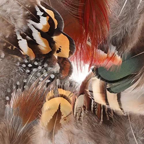 MWOOT Assorted Craft Feathers 180Pcs | Natural Chicken Feathers for DIY Crafts & Decorations thumbnail 9