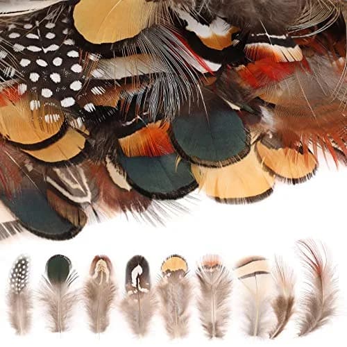 MWOOT Assorted Craft Feathers 180Pcs | Natural Chicken Feathers for DIY Crafts & Decorations thumbnail 2