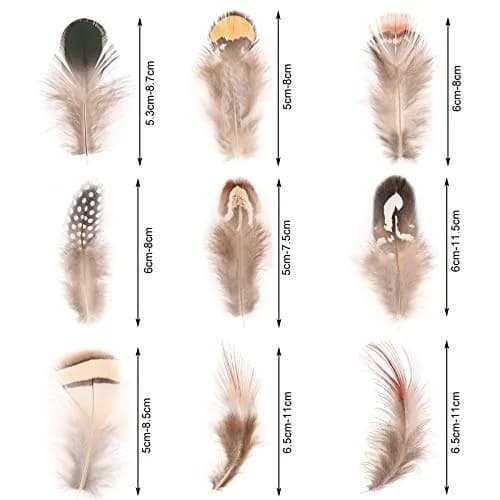 MWOOT Assorted Craft Feathers 180Pcs | Natural Chicken Feathers for DIY Crafts & Decorations thumbnail 3