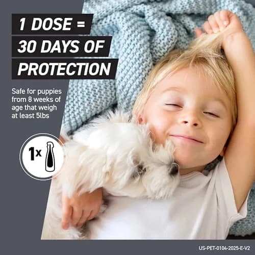 Frontline Shield Flea & Tick Treatment for Large Dogs 41-80 lbs. | Waterproof Monthly Protection thumbnail 6