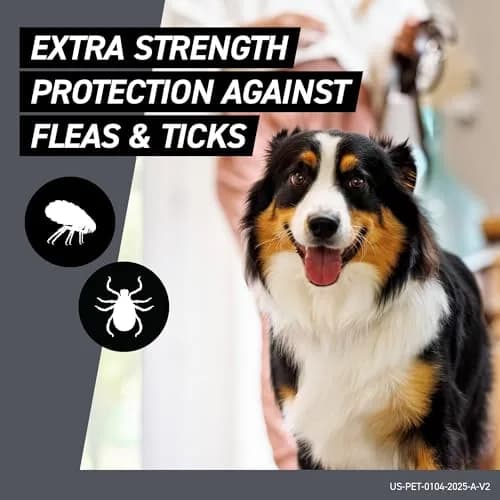 Frontline Shield Flea & Tick Treatment for Large Dogs 41-80 lbs. | Waterproof Monthly Protection thumbnail 3