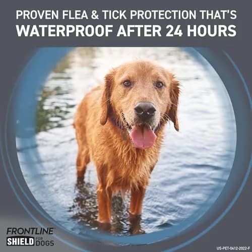 Frontline Shield Flea & Tick Treatment for X-Large Dogs 81-120 lbs | Waterproof, 30-Day Protection thumbnail 7