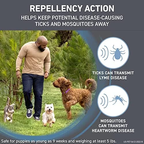 Frontline Shield Flea & Tick Treatment for X-Large Dogs 81-120 lbs | Waterproof, 30-Day Protection thumbnail 3