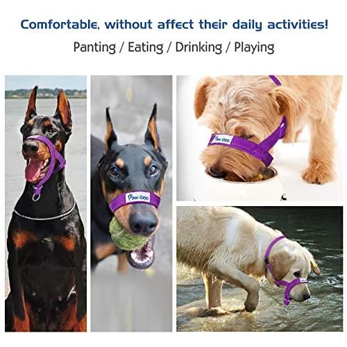 Pawaboo Dog Muzzle Head Halter Collar for Dog Nylon Reflective Adjustable | Stress-Free Control for Small Dogs thumbnail 6