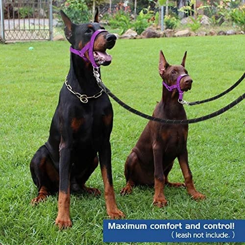 Pawaboo Dog Muzzle Head Halter Collar for Dog Nylon Reflective Adjustable | Stress-Free Control for Small Dogs thumbnail 7