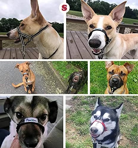 Pawaboo Dog Muzzle Head Halter Collar for Dog Nylon Reflective Adjustable | Stress-Free Control for Small Dogs thumbnail 3