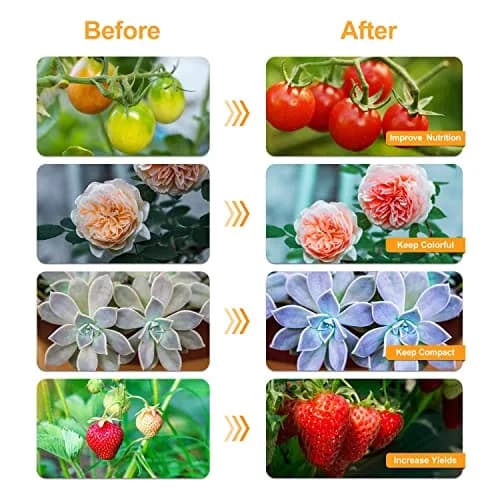 bseah Full Spectrum LED Grow Light 10W (0.35 oz) with Timer & Dimmable Levels | For Indoor Plants thumbnail 4