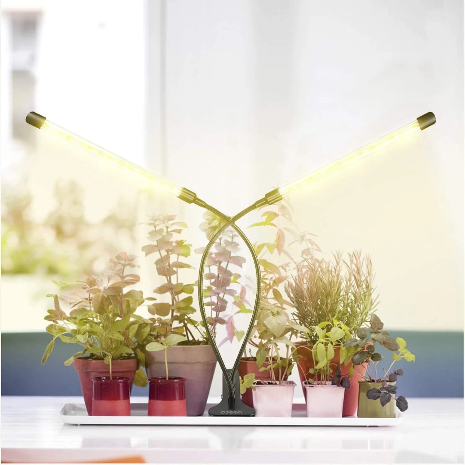 bseah Full Spectrum LED Grow Light 10W (0.35 oz) with Timer & Dimmable Levels | For Indoor Plants - view 5