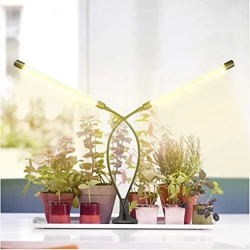 bseah Full Spectrum LED Grow Light 10W (0.35 oz) with Timer & Dimmable Levels | For Indoor Plants thumbnail 5