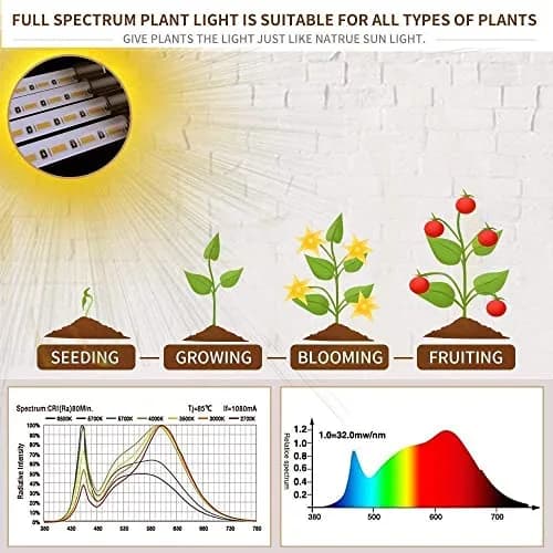 bseah Full Spectrum LED Grow Light 10W (0.35 oz) with Timer & Dimmable Levels | For Indoor Plants thumbnail 3