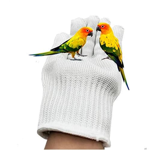 alfyng Bird Training Anti-Bite Gloves, Small Animal Handling Gloves for Parrots, 24cm (9.4 in) | Skin-Friendly & Bite Resistant thumbnail 4